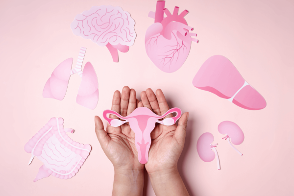 Zyklusphasen Winter und Frühling: Wie du von Erholung zu neuer Kraft findest - Zyklusphasen Winter und Frühling: Wie du von Erholung zu neuer Kraft findest