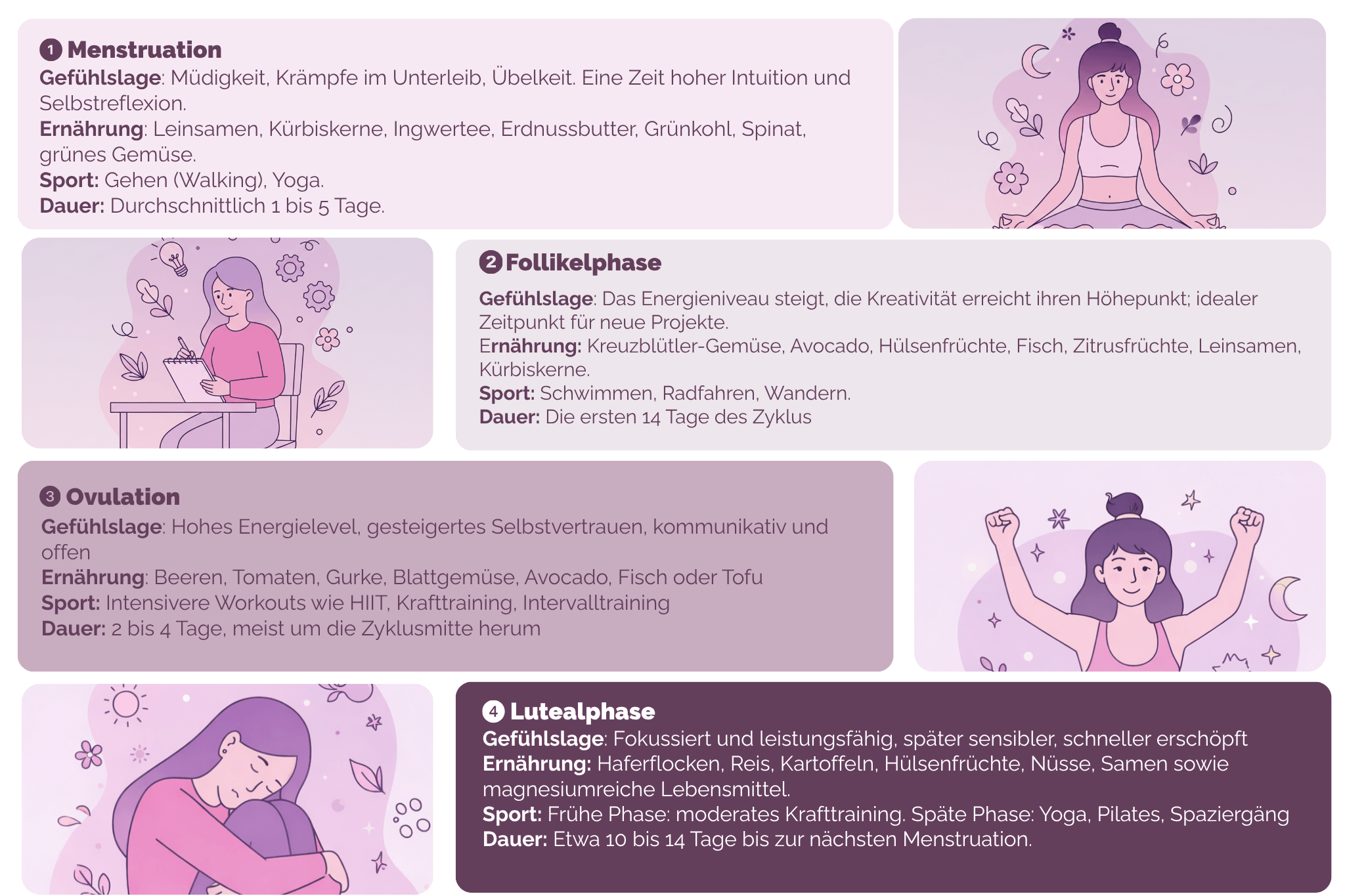 Darstellung des weiblichen Zyklus mit Phase 1 Menstruation, Phase 2 Follikelphase, Phase 3 Ovulation und Phase 4 Lutealphase, jeweils mit Angaben zu Energielevel, Ernährung (z. B. eisenreich, frisch, magnesiumreich), empfohlenem Training und typischer Dauer.