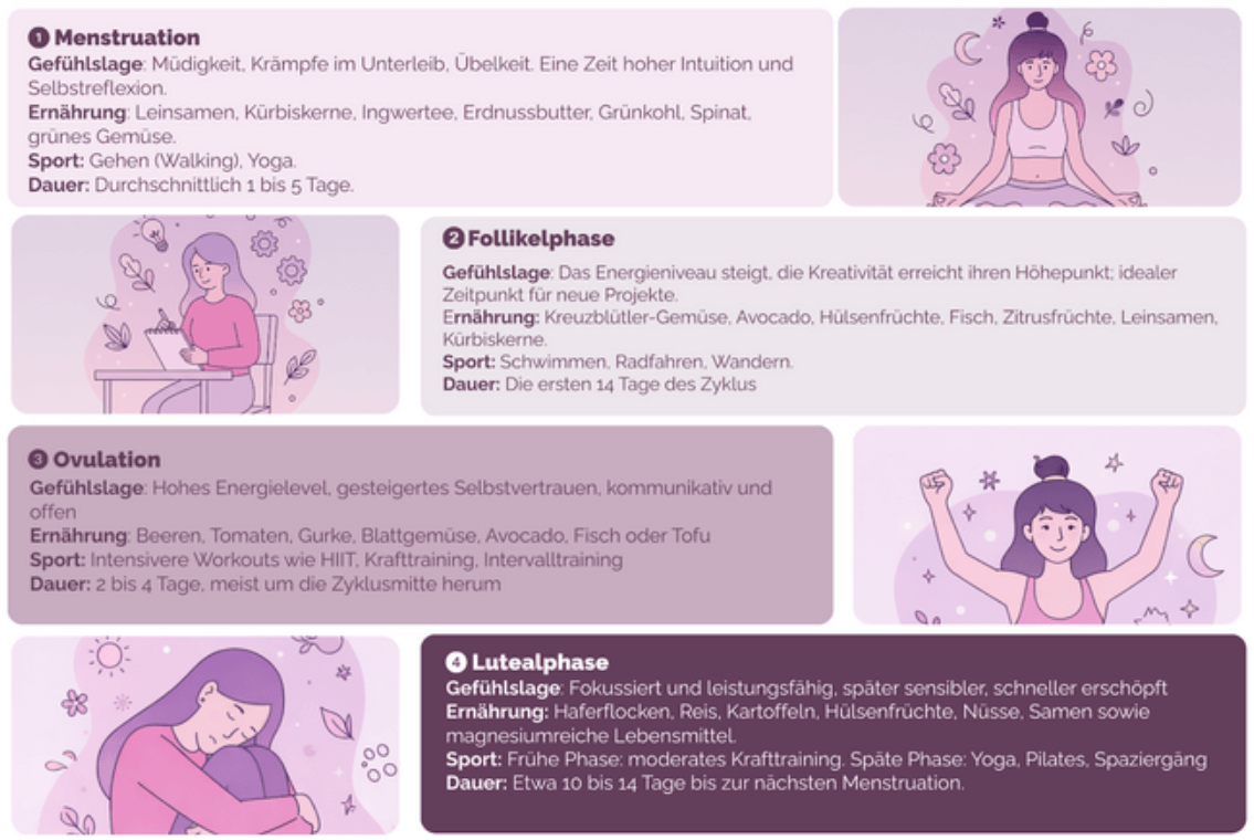 Darstellung des weiblichen Zyklus mit Phase 1 Menstruation, Phase 2 Follikelphase, Phase 3 Ovulation und Phase 4 Lutealphase, jeweils mit Angaben zu Energielevel, Ernährung (z. B. eisenreich, frisch, magnesiumreich), empfohlenem Training und typischer Dauer.