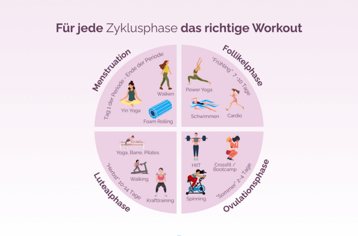 Grafische Übersicht: Für jede Zyklusphase das richtige Workout – Menstruation mit sanftem Yoga und Walking, Follikelphase mit Cardio und Schwimmen, Ovulationsphase mit HIIT und Bootcamp, Lutealphase mit Krafttraining und Yoga.