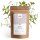 Livella Organic Herbal Breastfeeding Tea